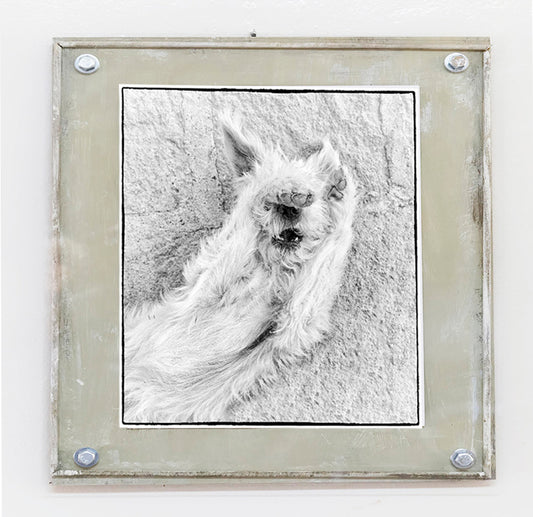 Guido - photograph