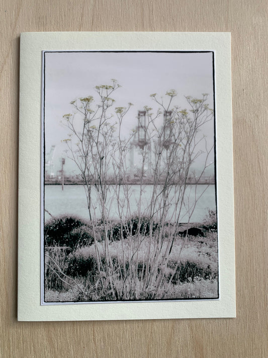 card - wild mustard and Oakland Cranes