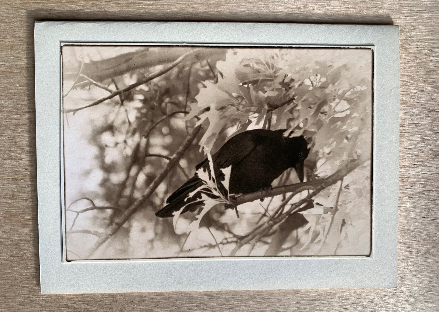 card - In the Trees