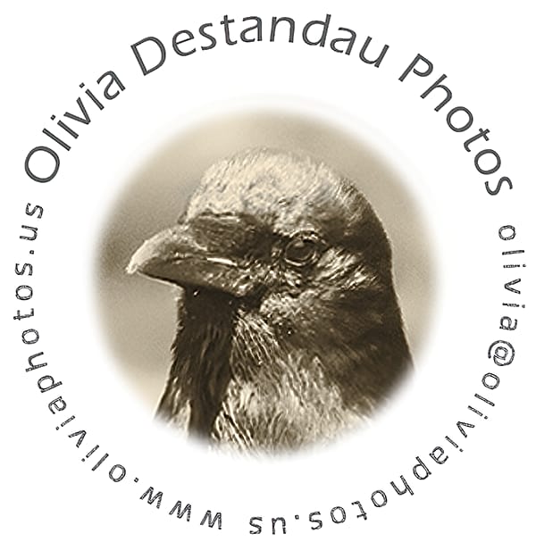 Olivia Destandau Photos