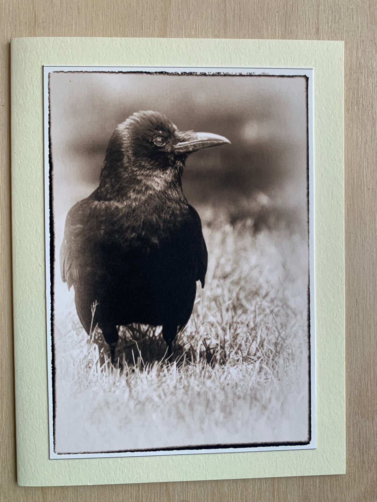 card - raven in grass